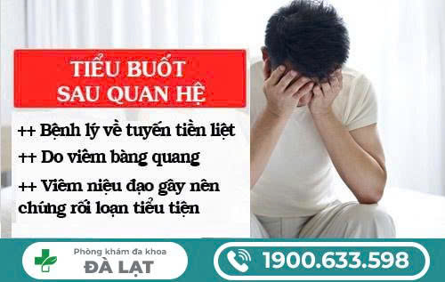 Hình ảnh minh họa